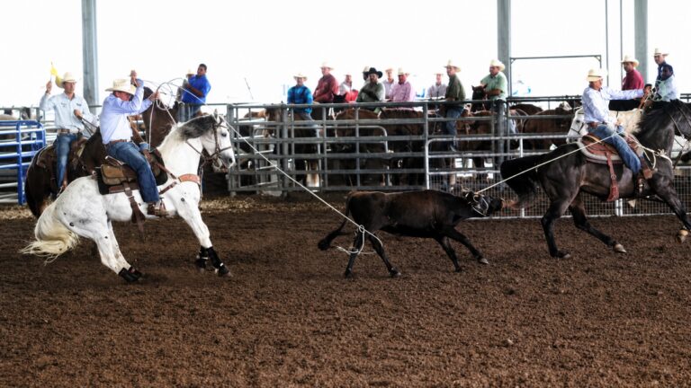 RopeSmart founder John McCarthy heeling a steer