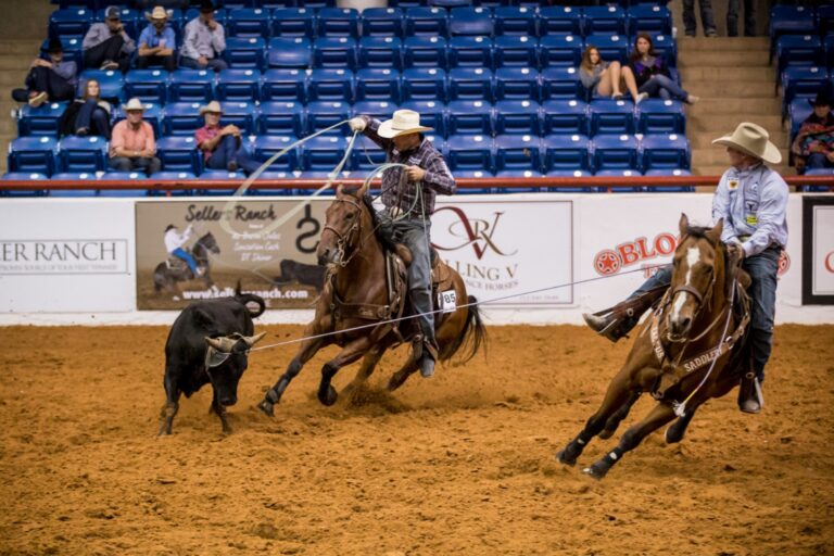 Macho Man Whiz, the ARHFA World Championship heeling title winner