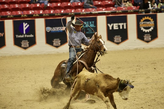 cade passig heeler