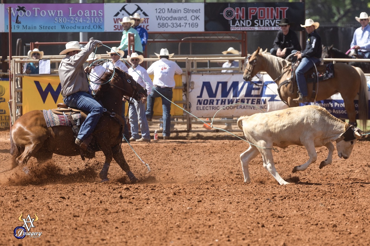 Cooper Freeman heeling a steer at Woodward, Oklahoma