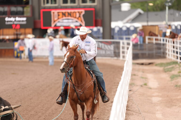 CGML3108