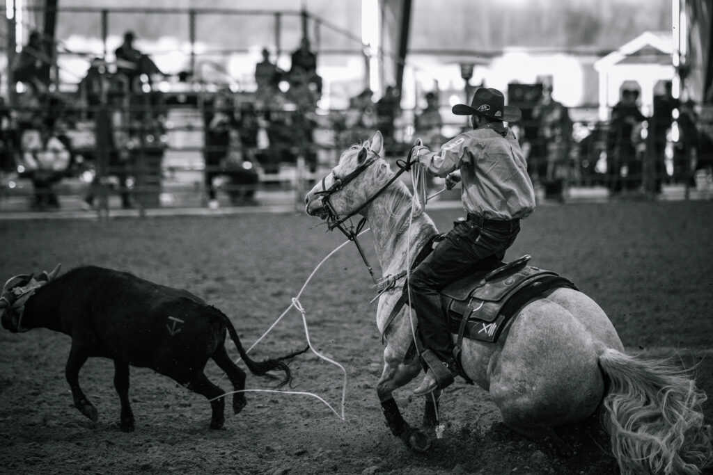 Hero: 377 Arena team roping arena in Stephenville, Texas