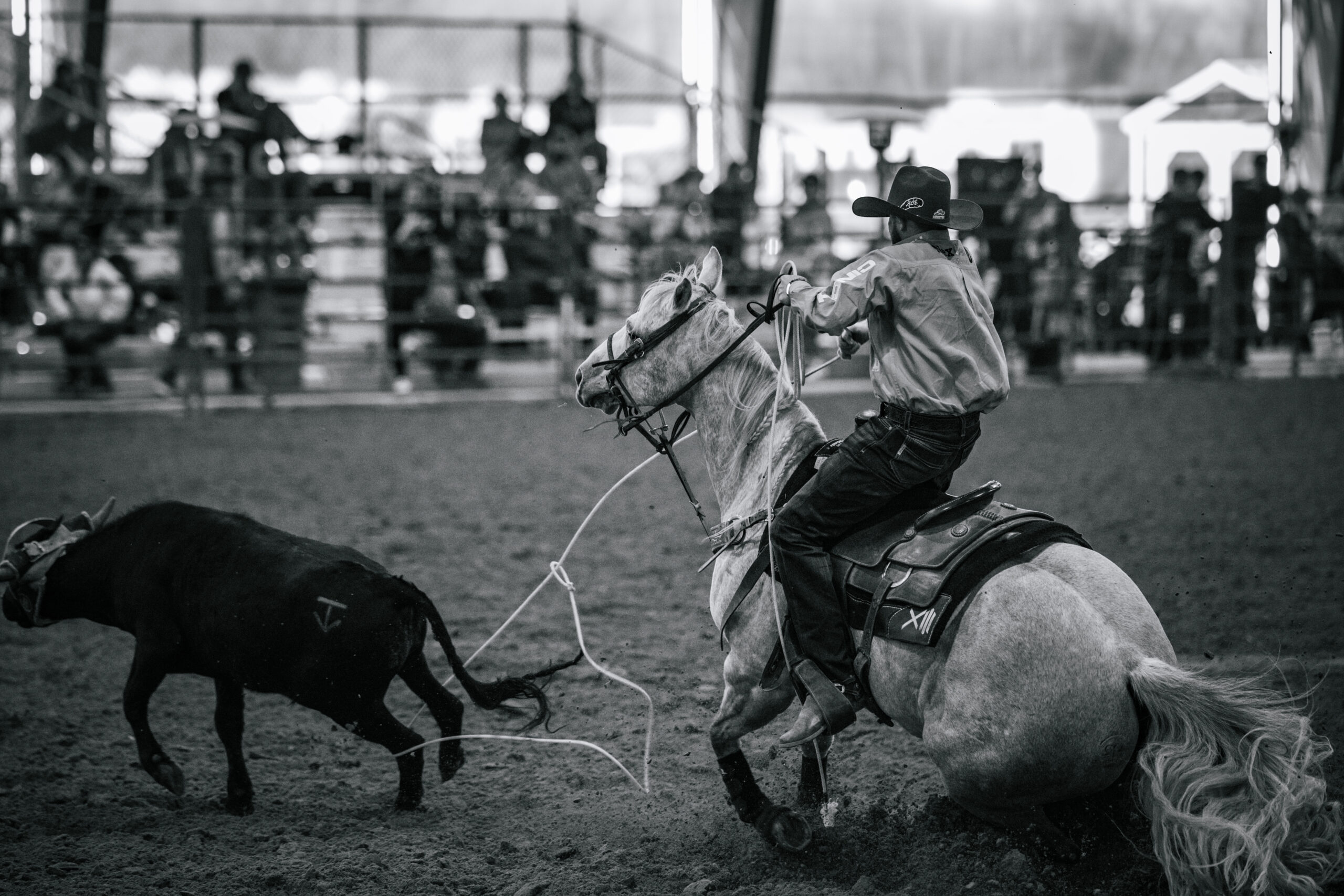 Hero: 377 Arena team roping arena in Stephenville, Texas