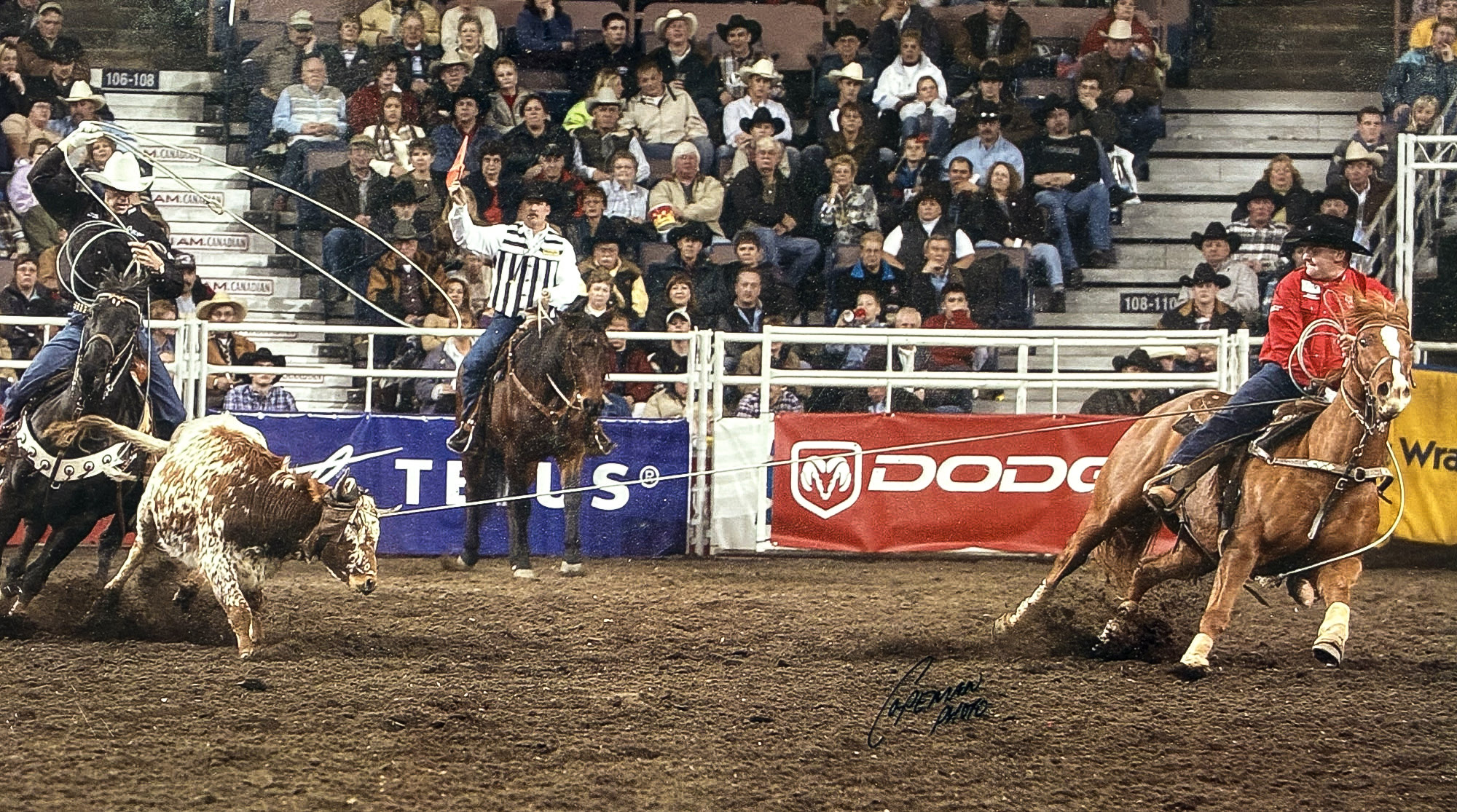 Kevin Schreiner heading a steer at the 2003 Canadian Finals Rodeo