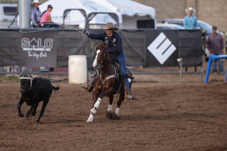 Andy Holcomb heading on Shes A Bossy Rebel: reading the cow