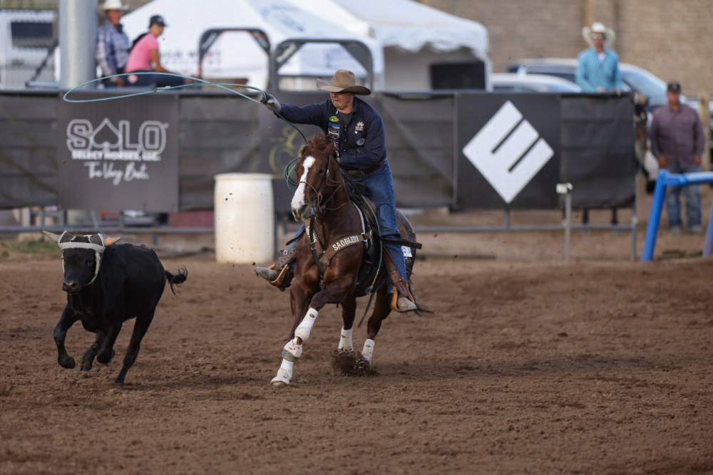 Andy Holcomb heading on Shes A Bossy Rebel: reading the cow