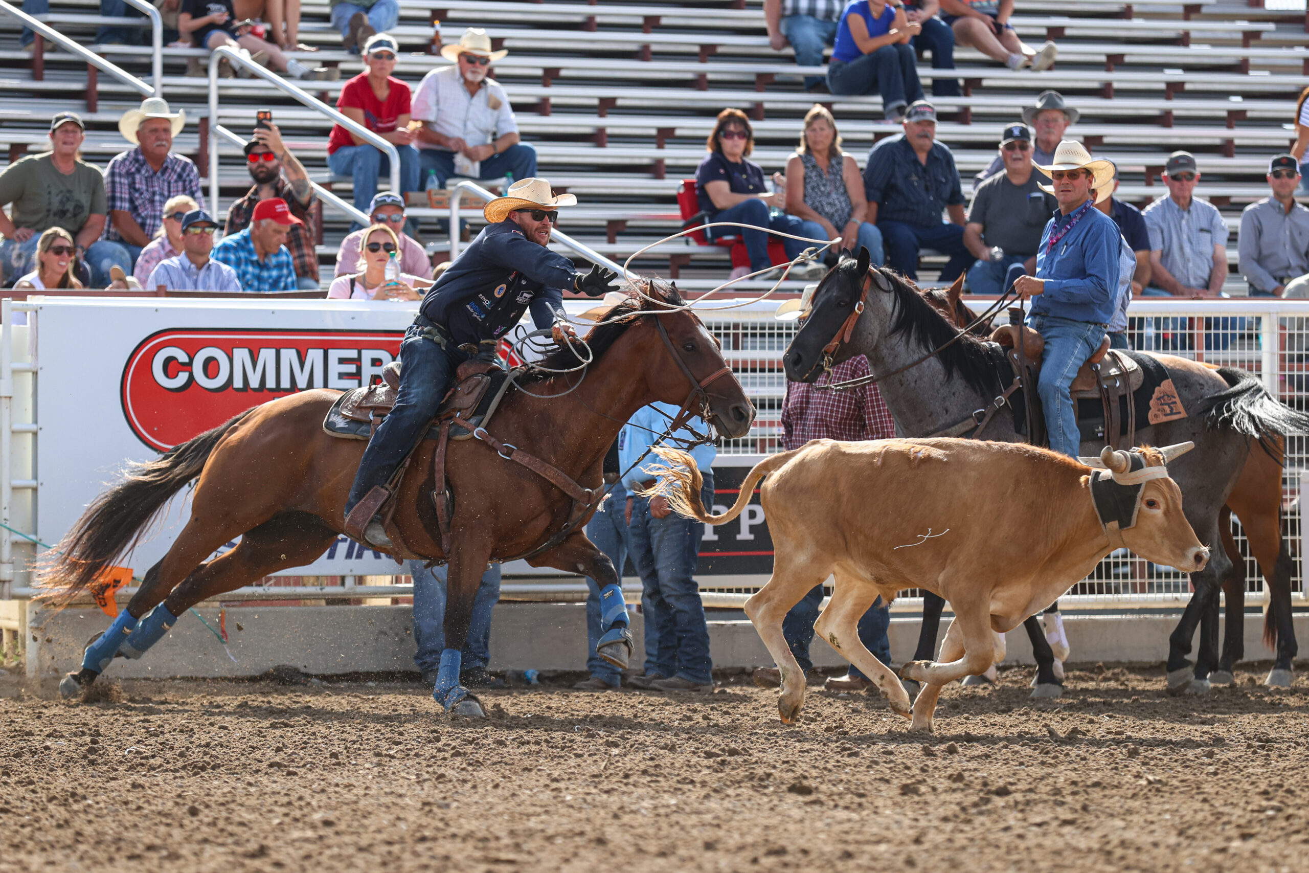 nelson wyatt at caldwell idaho