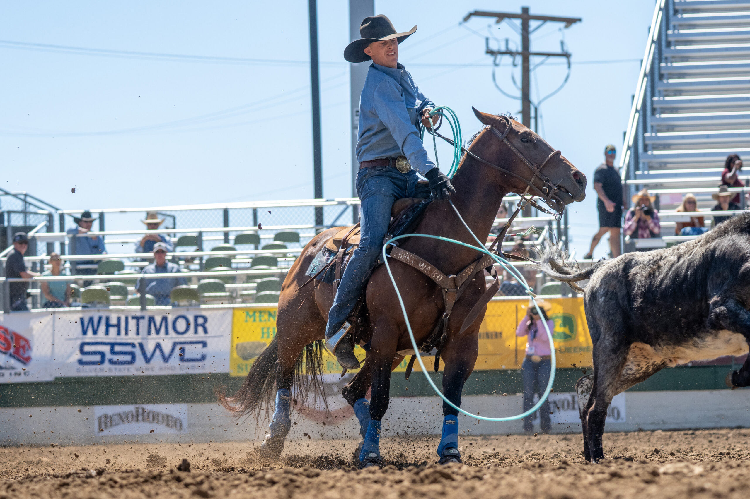 whip peterson reno rodeo