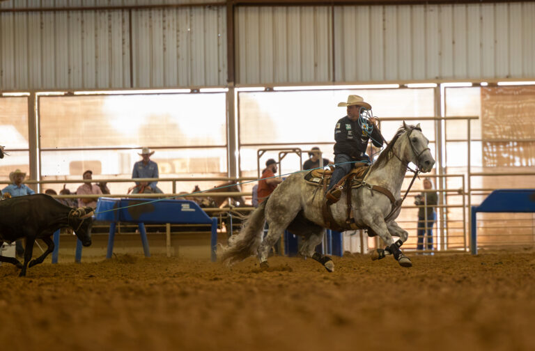 2026 TX best futurity 6U heading A Relentless Buzz Trevor Brazile
