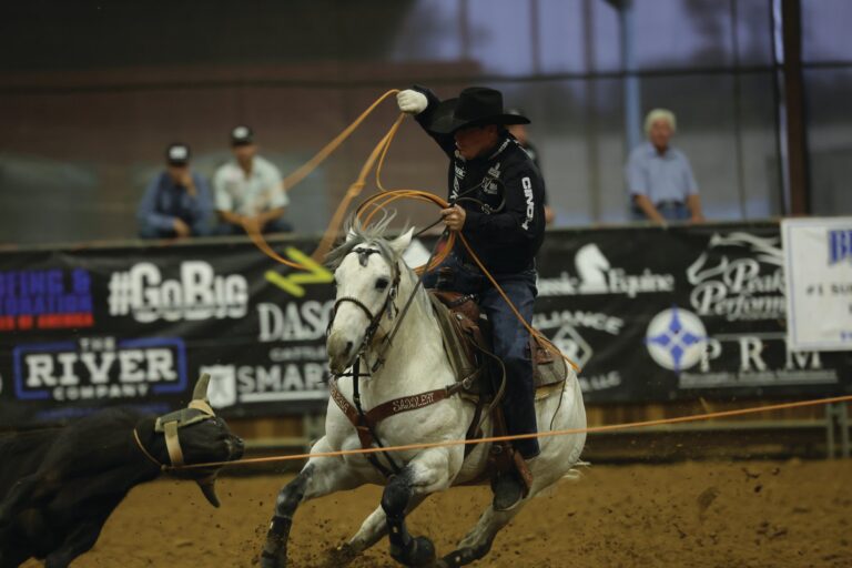 A heeler riding deep into the turn behind a steer during a run