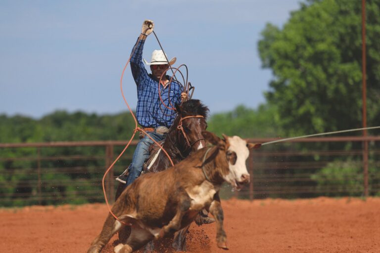 A cowboy holding a young horse steady through the corner while roping a steer