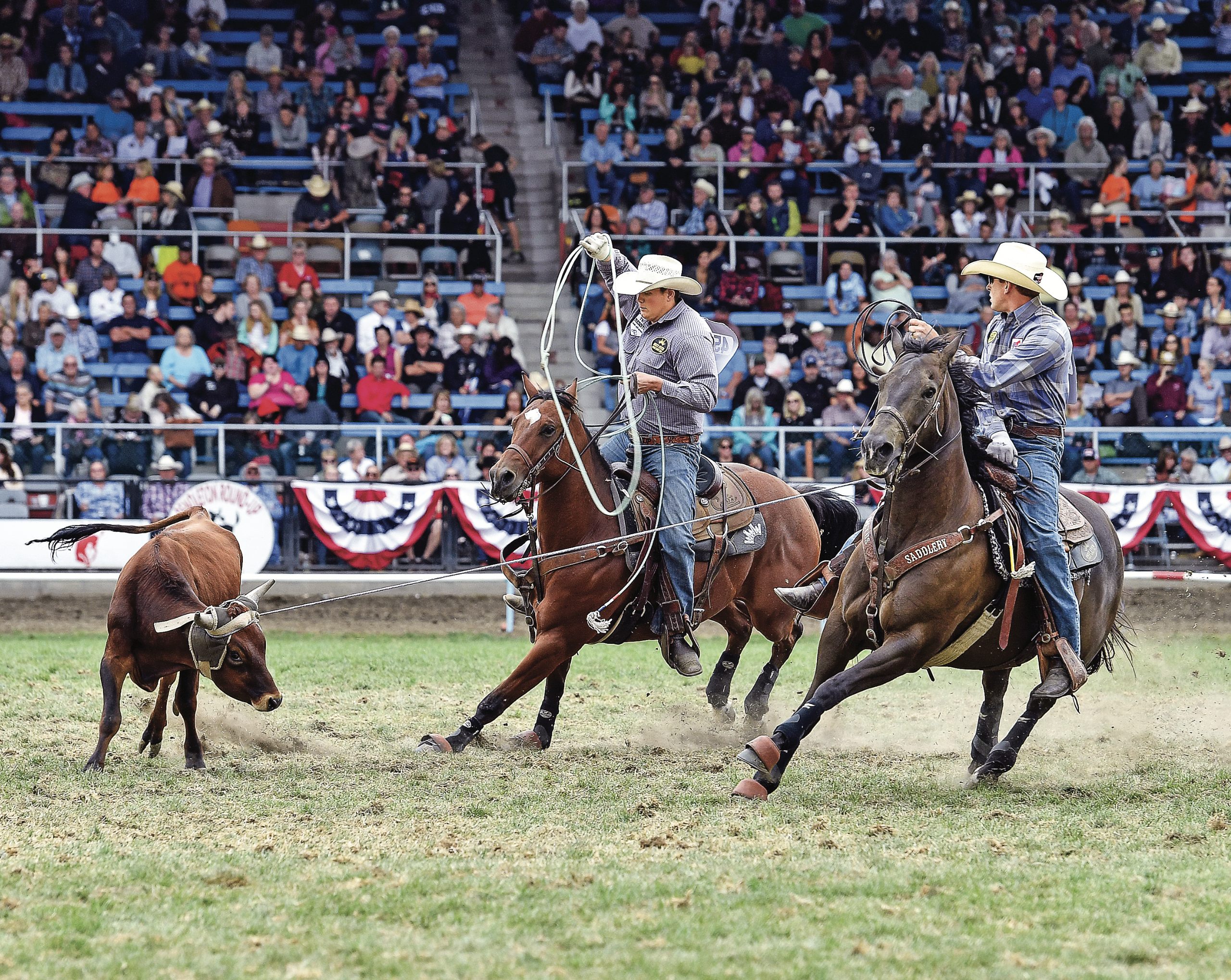 Pendleton 2016 team roping