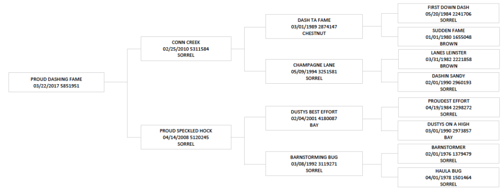 pedigree for Proud Dashing Fame "Sweetie Pie"