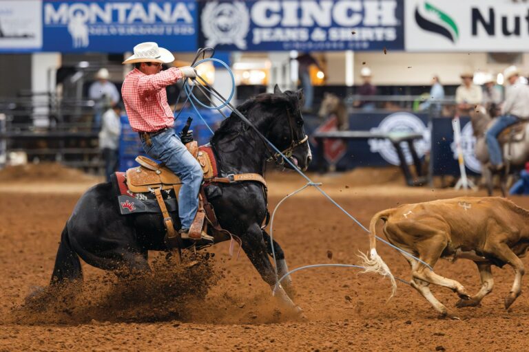 A roper heeling a steer at the Riata Championships, with Riata and sponsor banners in the background