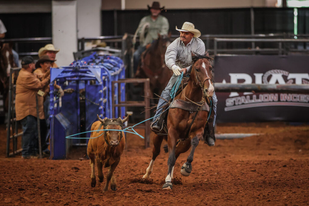 JR Caldwell 12.5 Riata