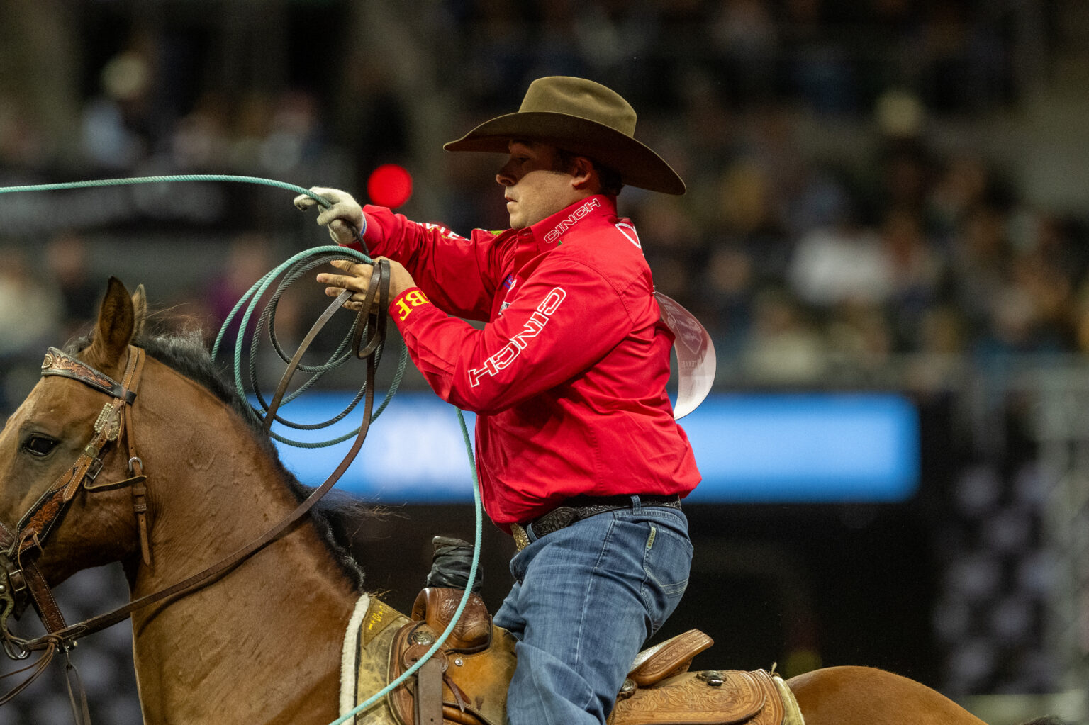 Professional Roping Horses The Head and Heel Horses of the 2026 Governor's Cup - The Team Roping ...