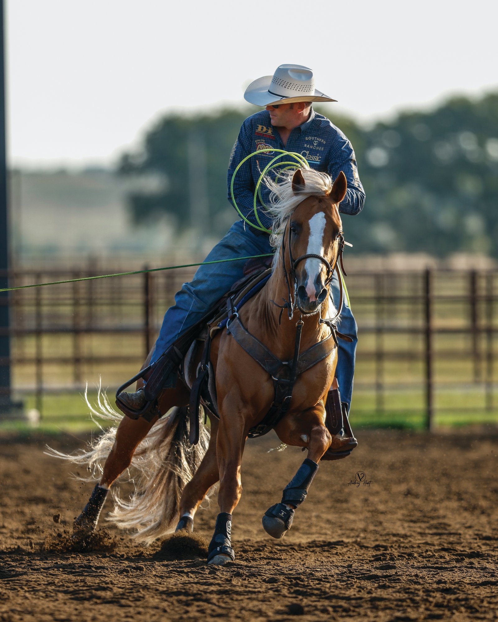 Billie Jack Saebens riding Bigg Smoke in the practice pen