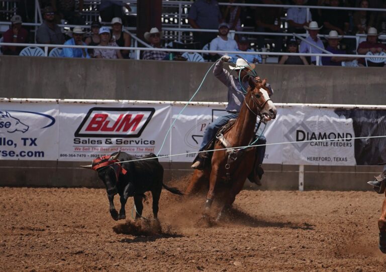 Will Woodfin heeling a steer at the 2026 Spicer Gripp