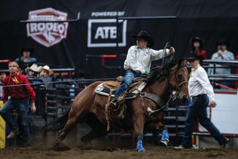 Kash Bonnett heading a steer at a Canadian rodeo