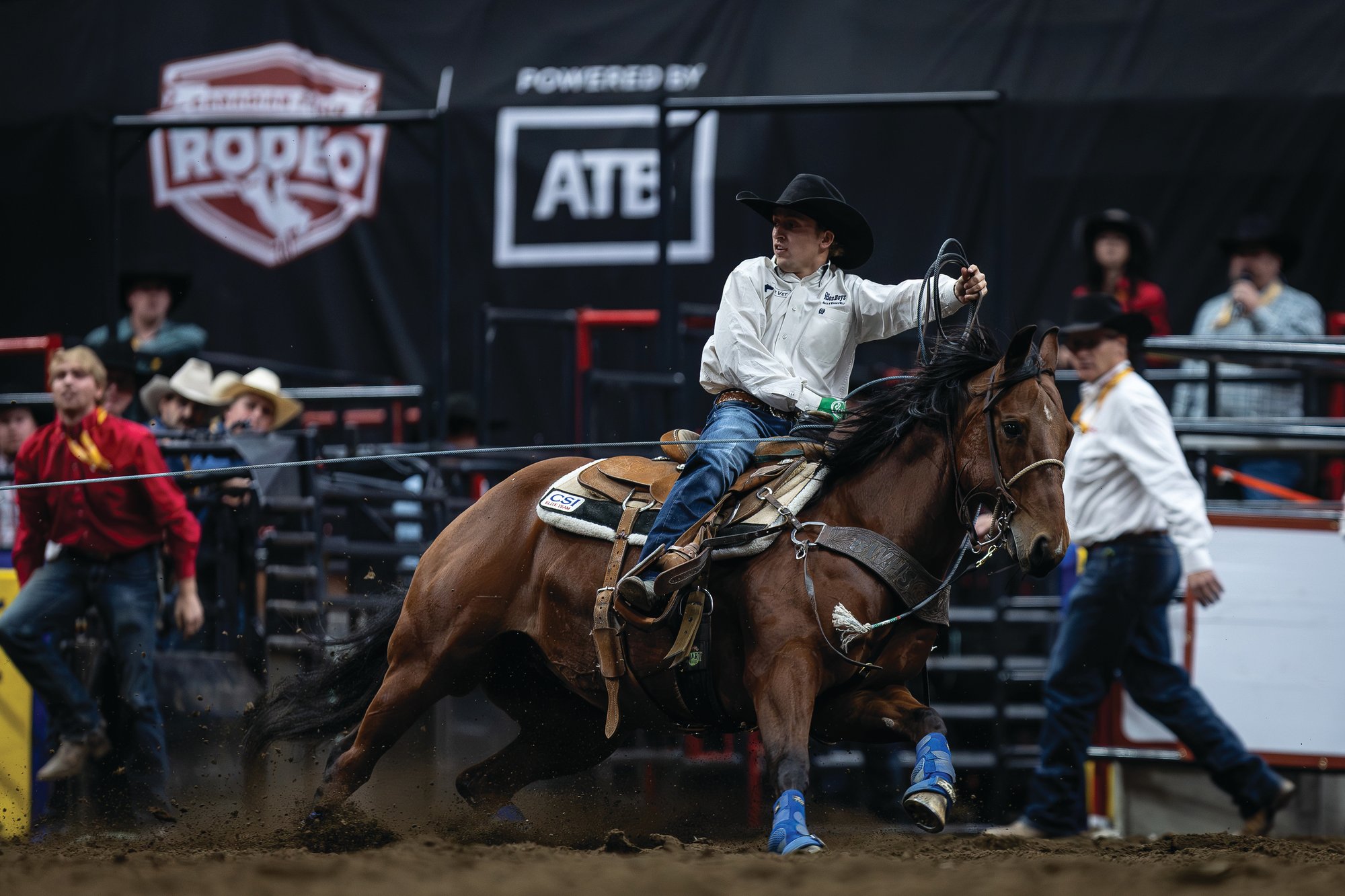 Kash Bonnett heading a steer at a Canadian rodeo