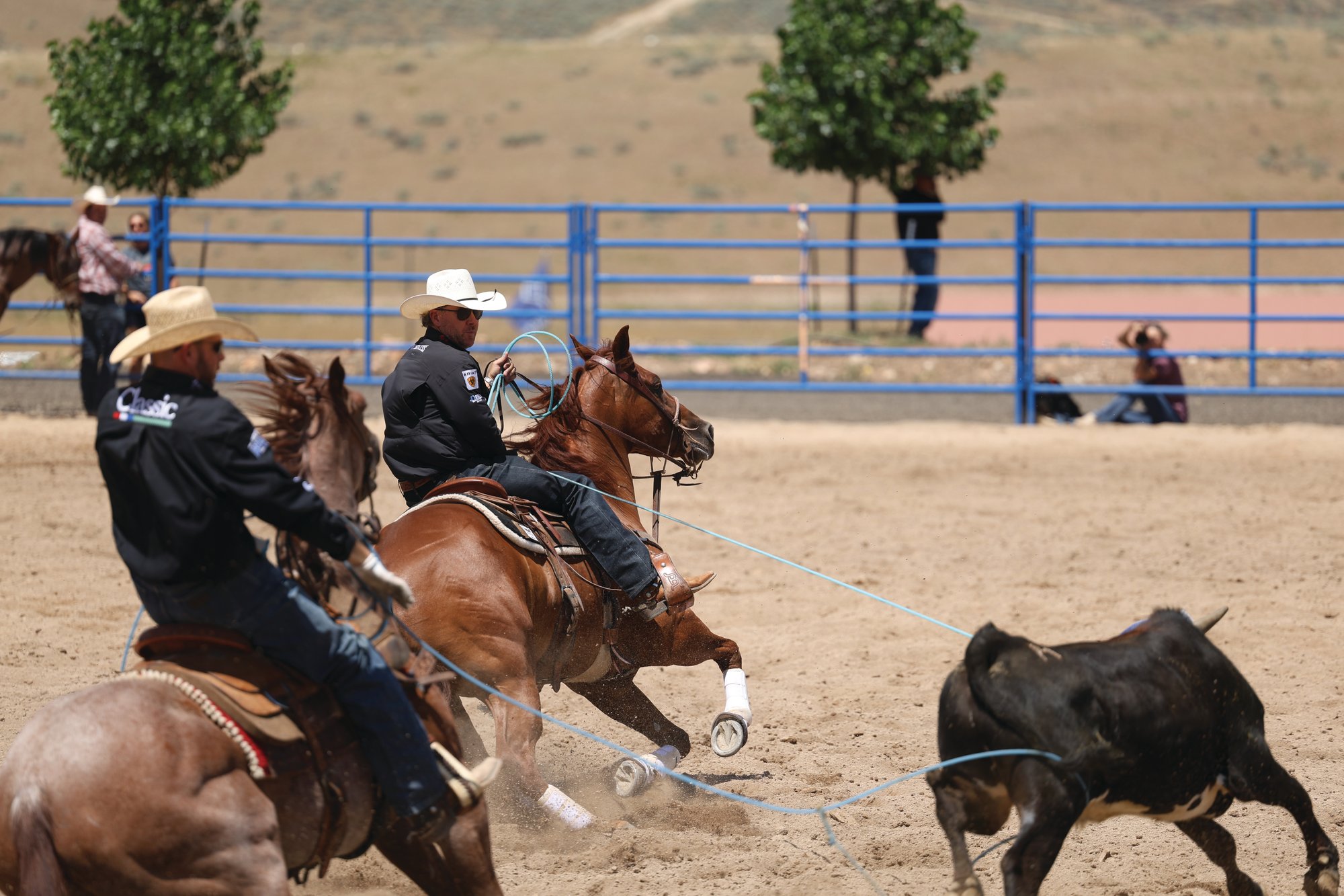Trevor Brazile heading on RR Gunners Affair with a heeler behind