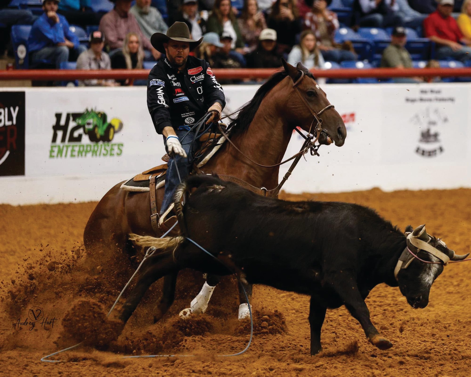 Joseph Harrison heeling on One Nite Special