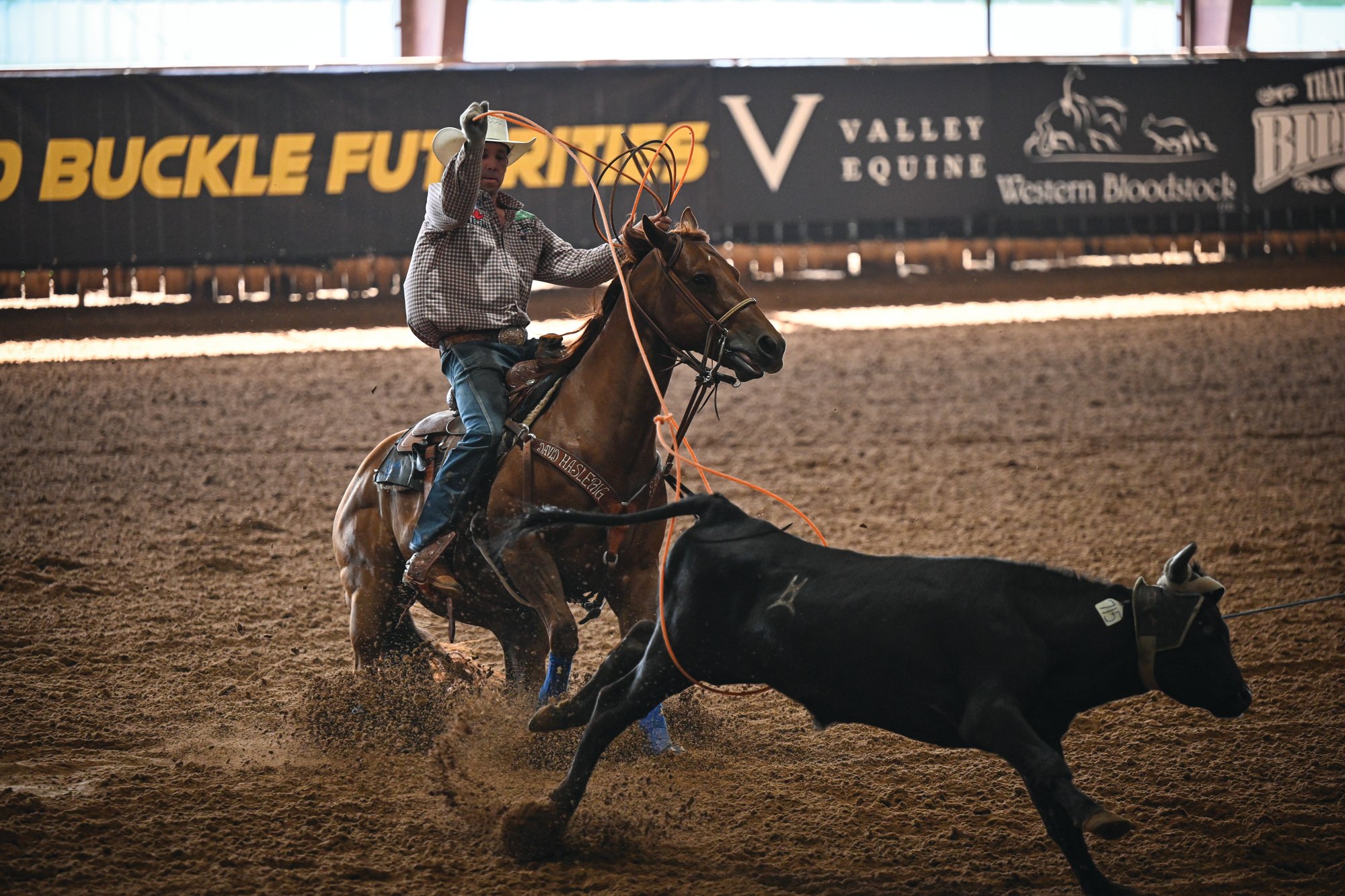 Kollin VonAhn heeling on AR Metallic Man at the Gold Buckle Futurities