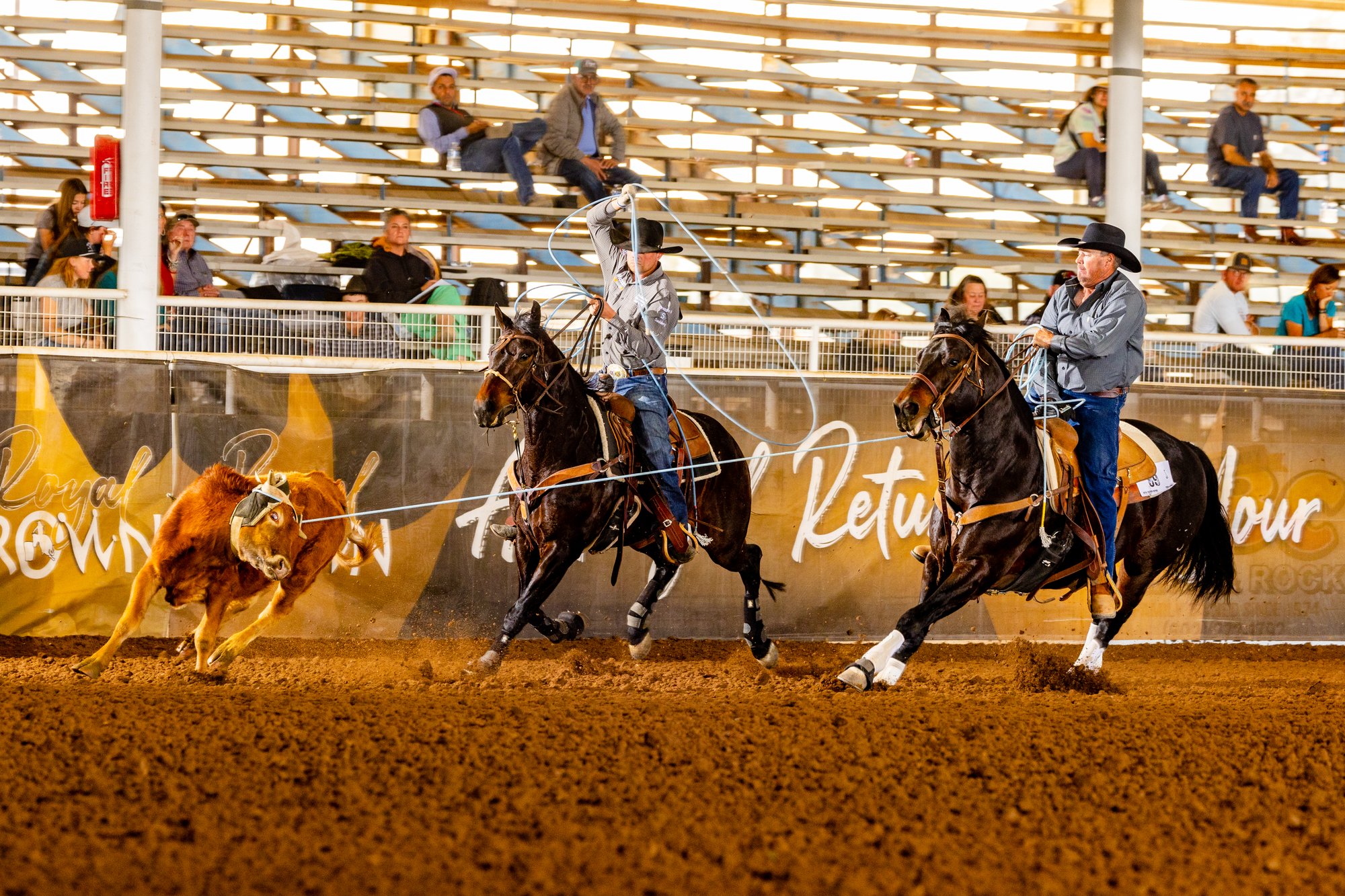 David Moss heading at a roping with a partner