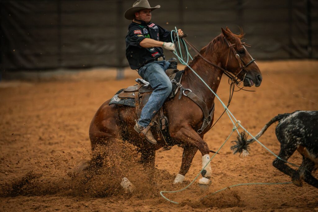 A heeler in a black shirt and tan hat stops a sorrel horse in the dirt as a steer runs ahead at the Old West World Championships in Amarillo, Texas.