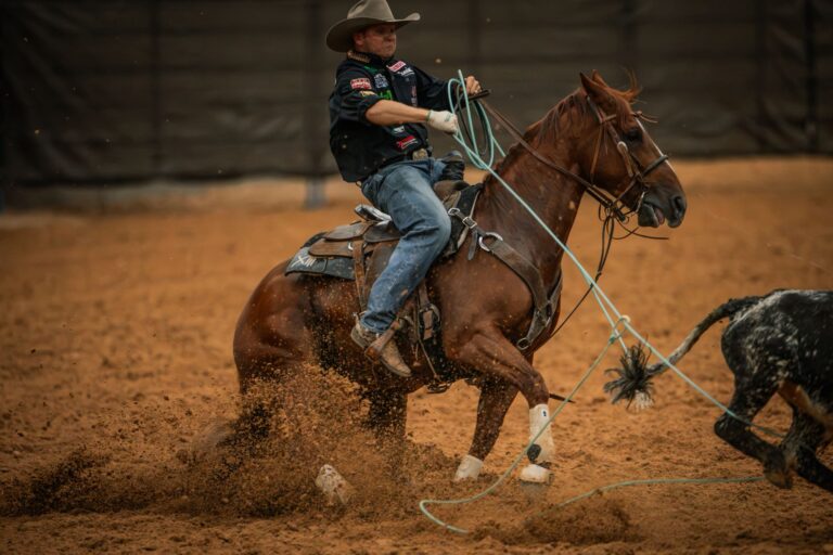 A heeler in a black shirt and tan hat stops a sorrel horse in the dirt as a steer runs ahead at the Old West World Championships in Amarillo, Texas.