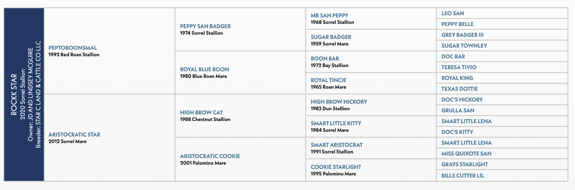 Pedigree chart for Rockk Star, a 2020 sorrel by Peptoboonsmal out of Aristocratic Star.