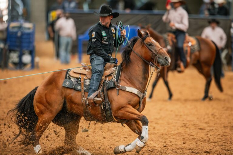 Trevor Brazile coils his rope as Kiri, a bay mare, drives into the ground turning a steer in Amarillo.