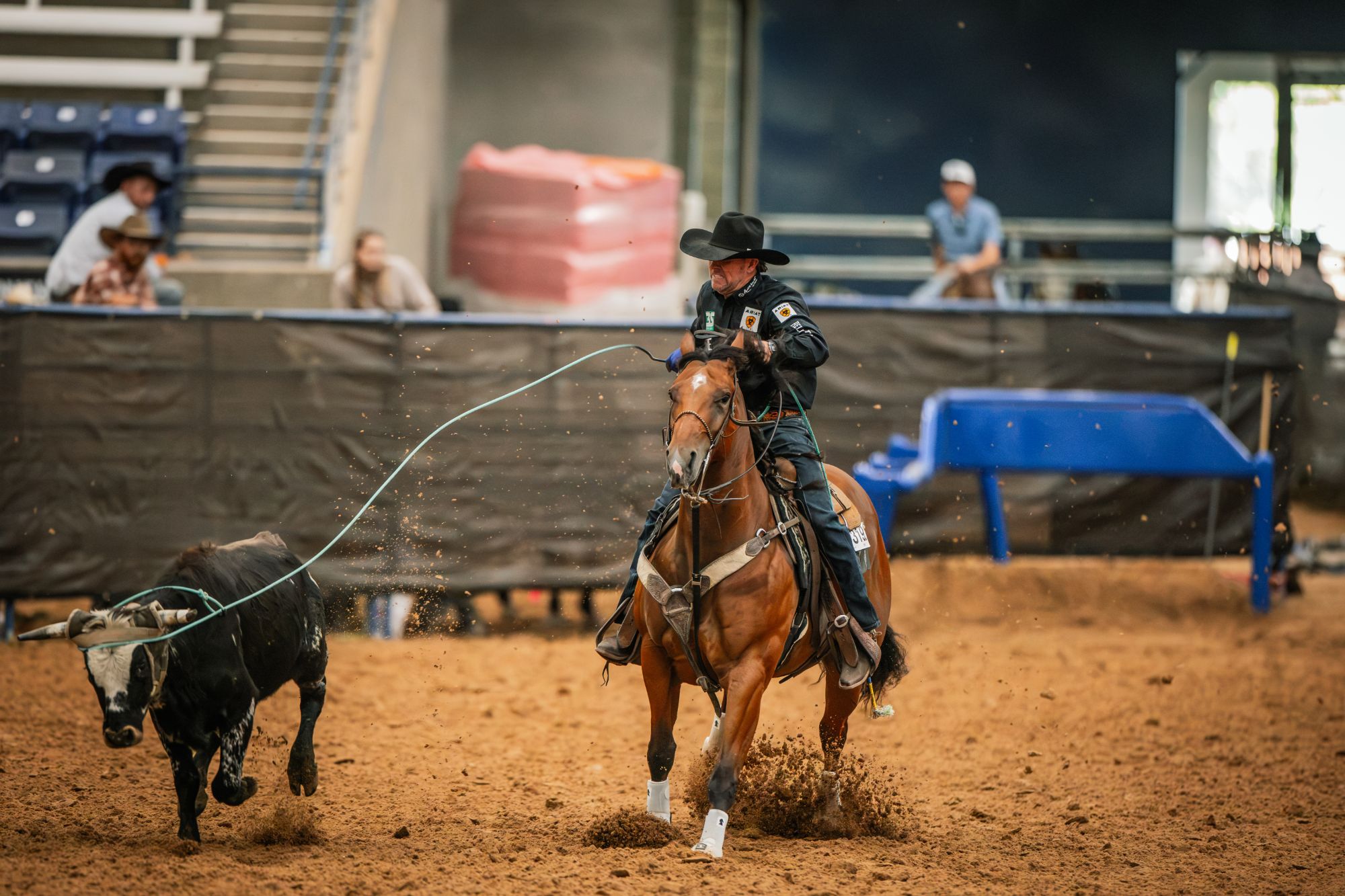 Trevor Brazile dallies on a black steer as Kiri, a bay mare with a star, gallops through the dirt.