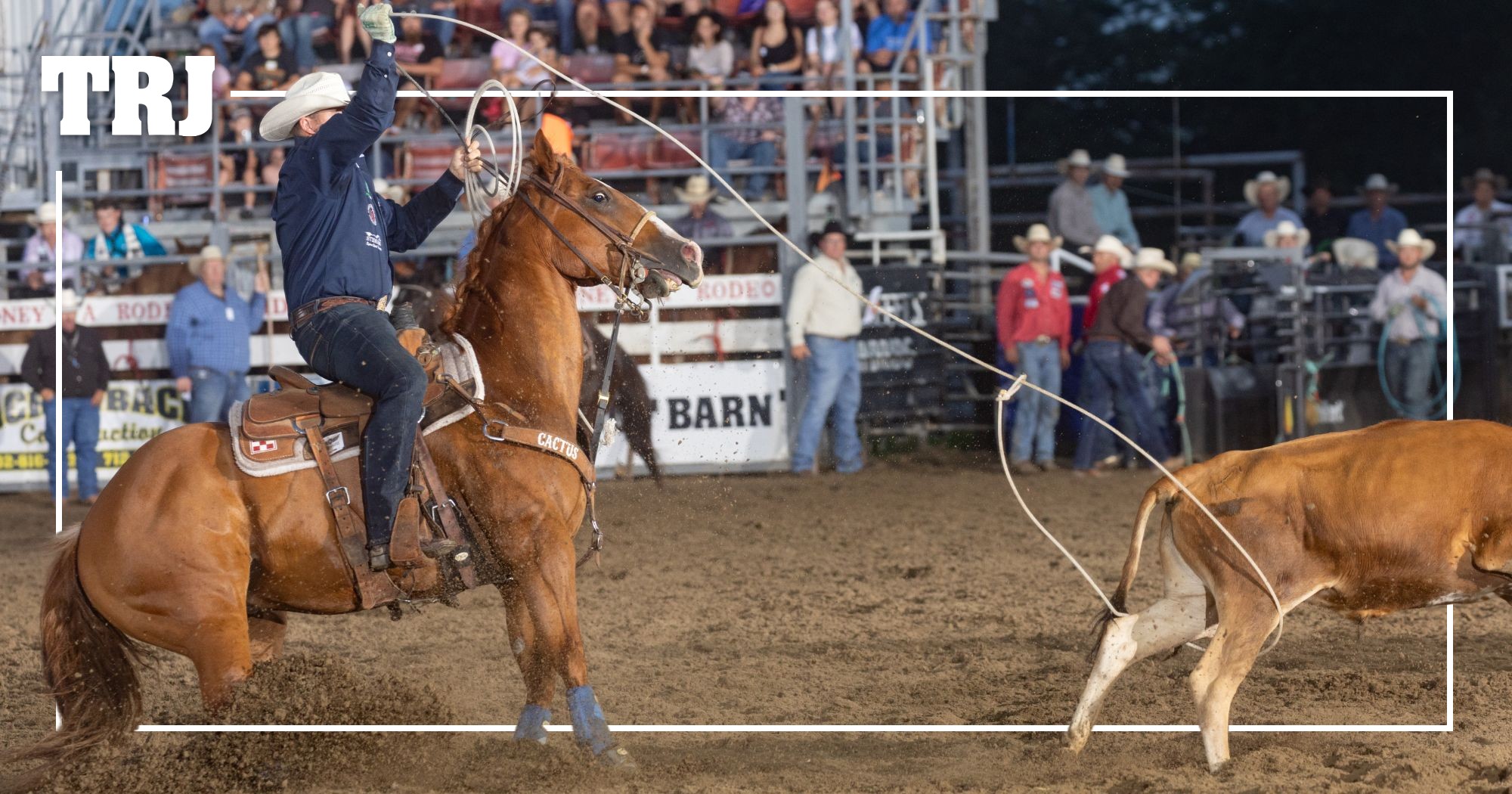 Jake Long’s Hezaluckysonofagun Voted 2026 Nutrena Heel Horse of the Year