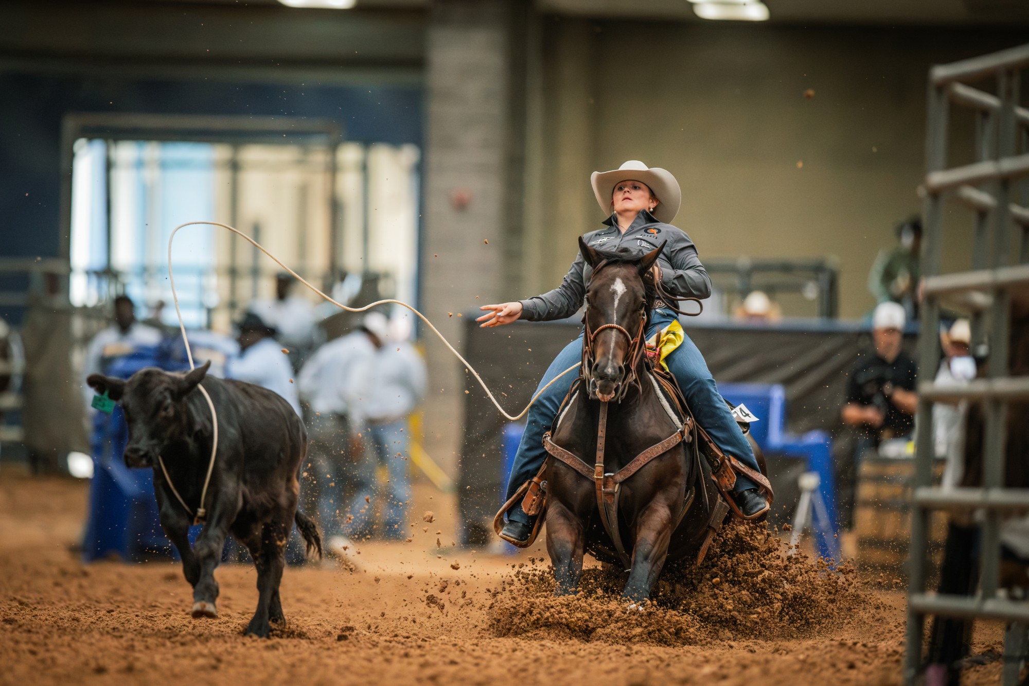 Quealy Probst slides Reyzin Royals, a dark bay mare, to a stop behind a black calf in Amarillo.