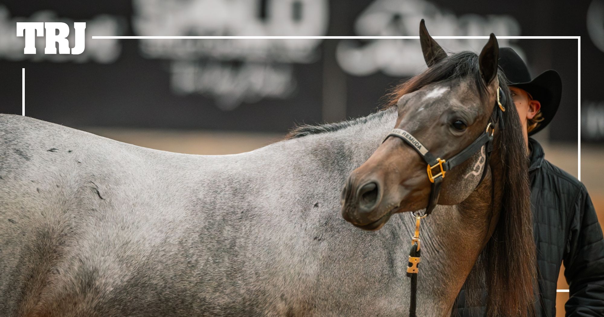$1.3 Million: Dirty Deed Tops Old West Sale