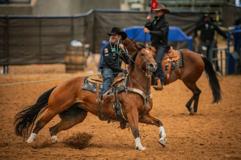 Trevor Brazile heads on Kiri at the Old West World Championships in Amarillo, Texas.