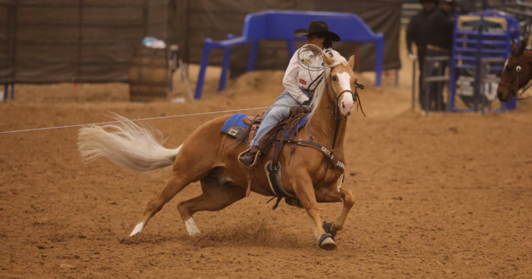 Brooke Wilson heads on a palomino at the Old West World Championships in Amarillo, Texas.