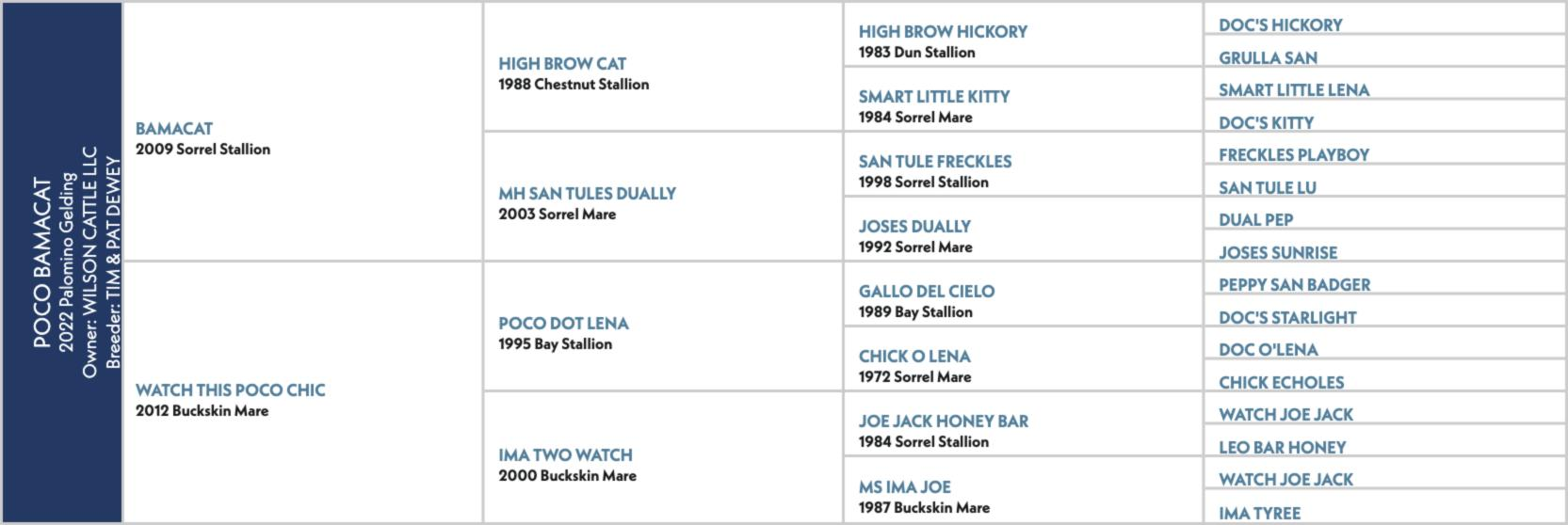 Pedigree chart for Poco Bamacat, a 2022 palomino gelding by Bamacat out of Watch This Poco Chic.