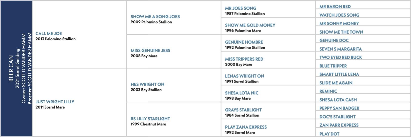 Pedigree chart for Beer Can, a 2021 sorrel gelding by Call Me Joe out of Just Wright Lilly.