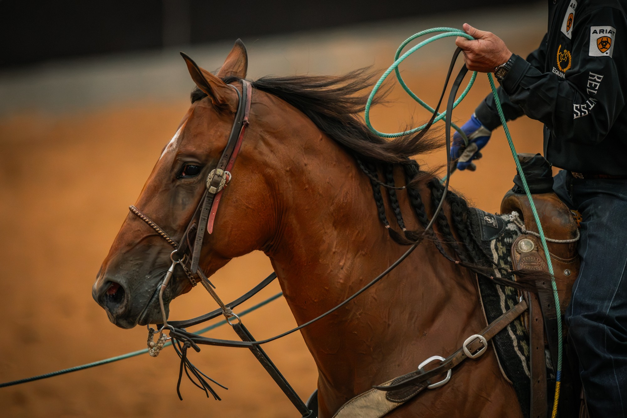 A bay mare with a braided mane carries Trevor Brazile at the Old West World Championships in Amarillo, Texas.