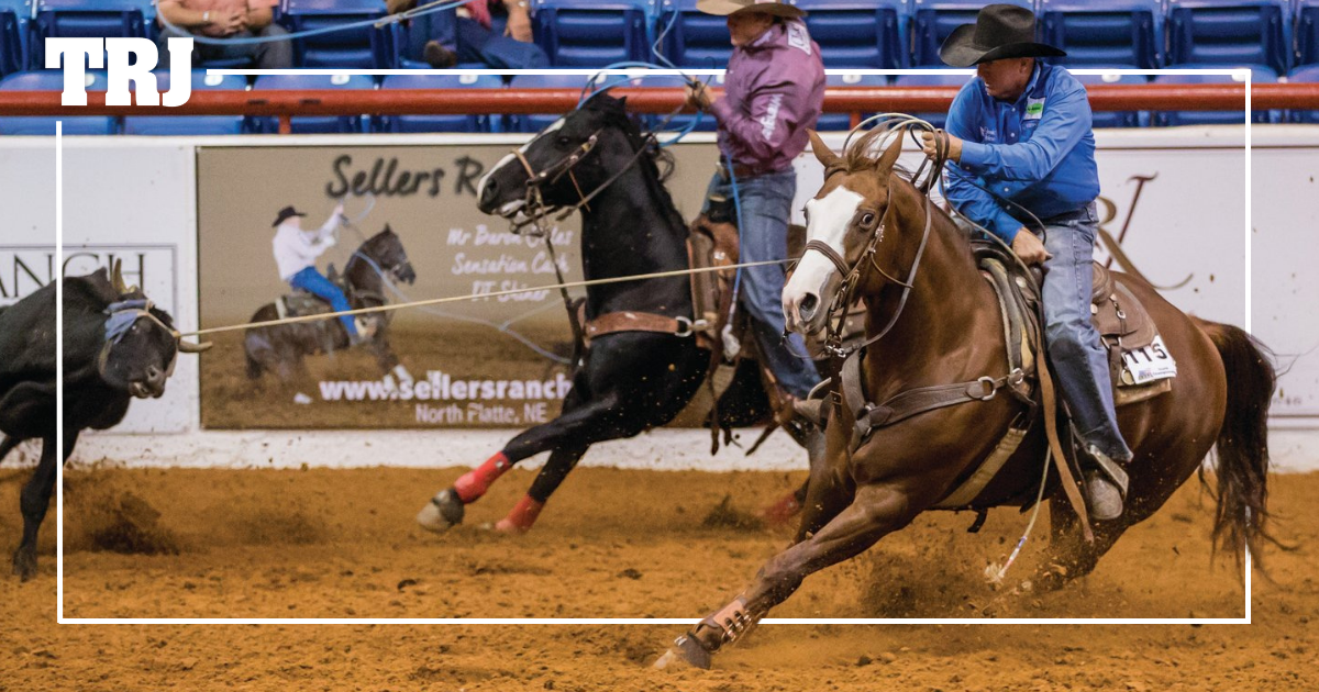 Every Day of the Week: How DT Air Jordan Won the First Big-Money Rope Horse Futurity Twice