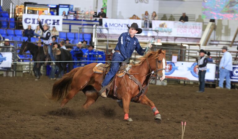 Logan Olson rides a sorrel horse while heading at the Badlands Circuit Finals in Minot, North Dakota.