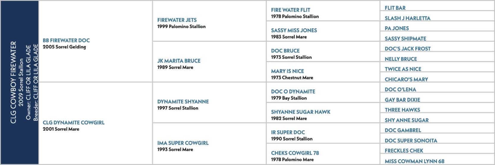 Pedigree chart for CLG Cowboy Firewater, a 2009 sorrel by BB Firewater Doc out of CLG Dynamite Cowgirl.
