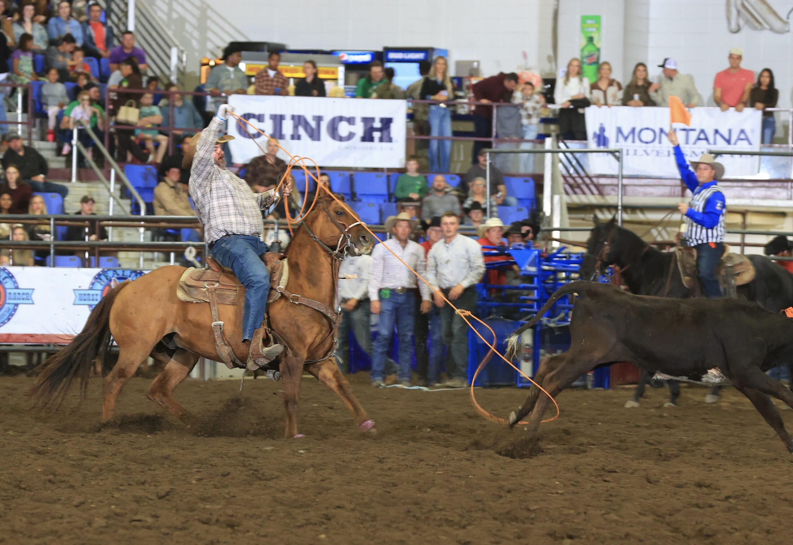 Matt Zancanella swings his rope while heeling a steer at the Badlands Circuit Finals in Minot, North Dakota.