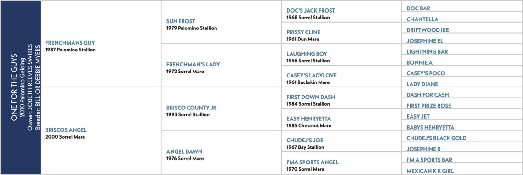 Pedigree chart for One For The Guys, a 2010 gelding by Frenchmans Guy out of Briscos Angel.
