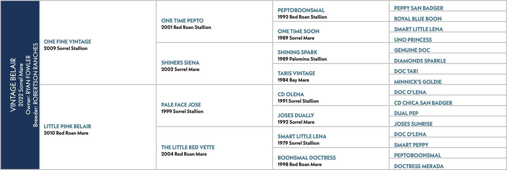Pedigree chart for Vintage Belair, a 2022 sorrel mare by One Fine Vintage out of Little Pink Belair.
