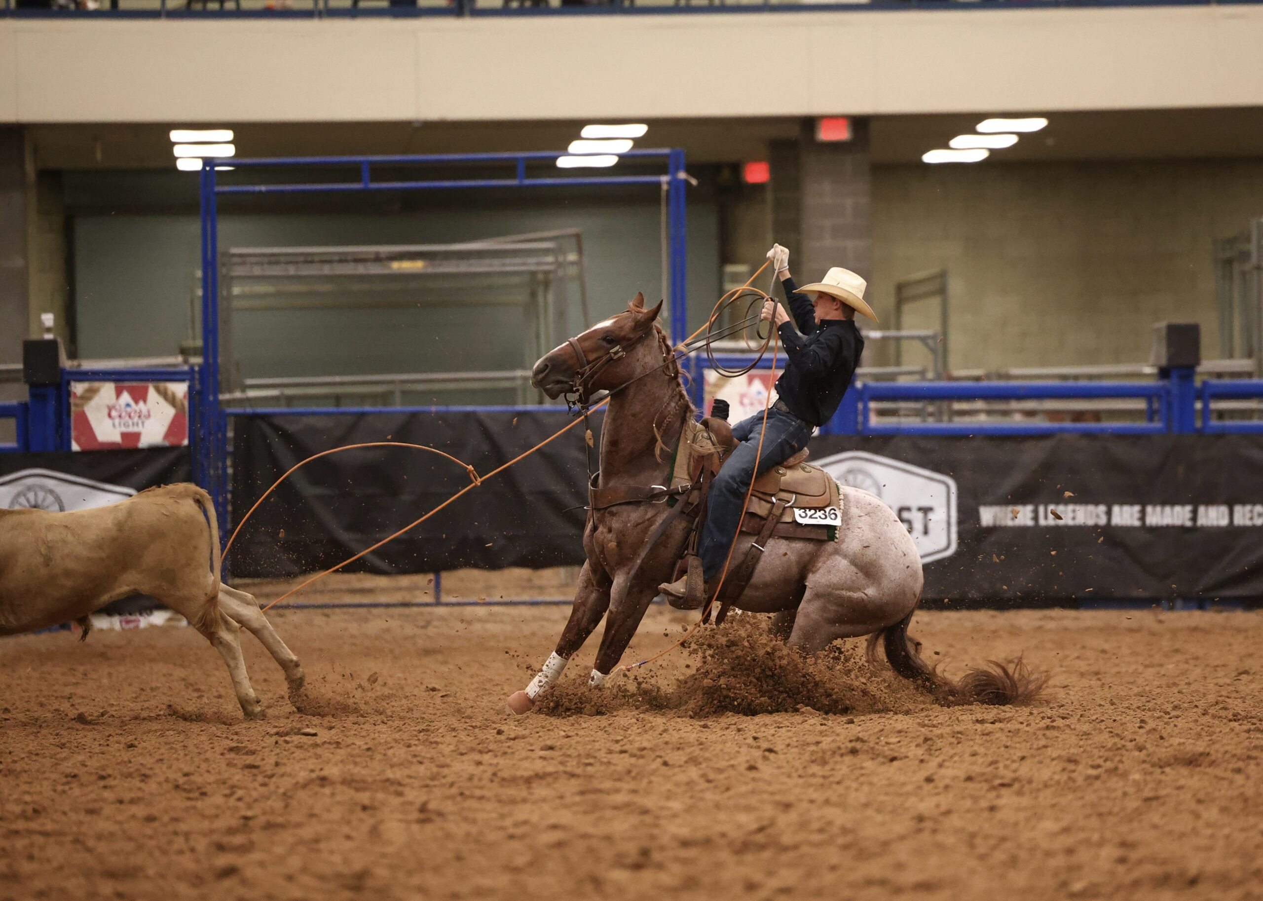 Brodie Boyce heels on Lethal MVP at the 2026 Old West World Championships in Amarillo, Texas.