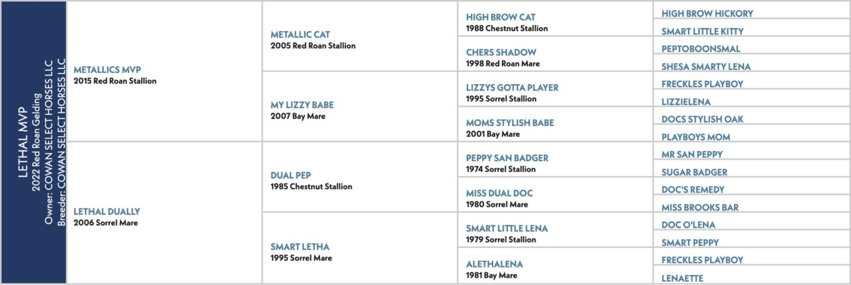Pedigree chart for Lethal MVP, a 2022 red roan gelding by Metallics MVP out of Lethal Dually.