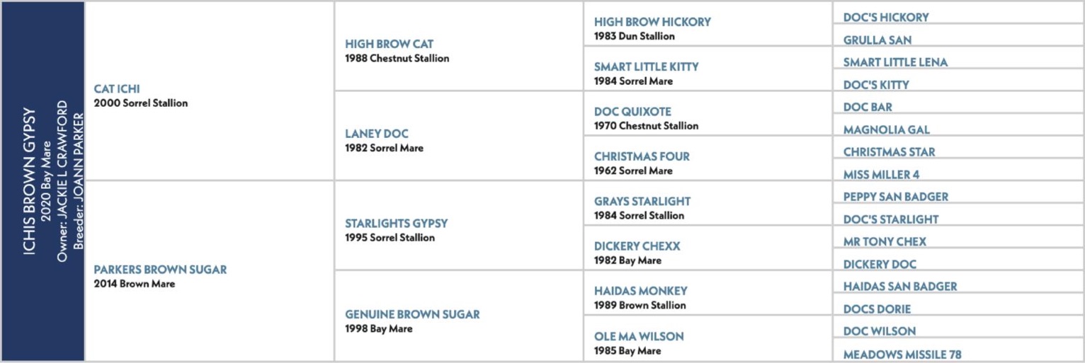 Pedigree chart for Ichis Brown Gypsy, a 2020 bay mare by Cat Ichi out of Parkers Brown Sugar.